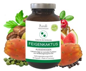 AUSGEWOGEN FEIGENKAKTUS KAPSELN FEIGENKAKTUS HILFT ERFOLGREICH FETT ZU VERBRENNEN, DEN STOFFWECHSEL ZU FÖRDERN UND DAS IMMUNSYSTEM ZU STÄRKEN 30 Tage Versorgung  Inhalt: 60 Kapseln | Füllmenge: 32,8 g.