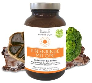 Pinienrinde mit OPC Kapseln Vitamin D, A, B6, C, Eisen, colostrum und Kupfer tragen zu einer normalen Funktion des Immunsystems bei 60 Tage Versorgung  Inhalt: 60 Kapseln | Füllmenge: 29,9 g.